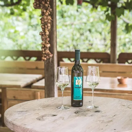 Weingut Gaube Farma Leutschach