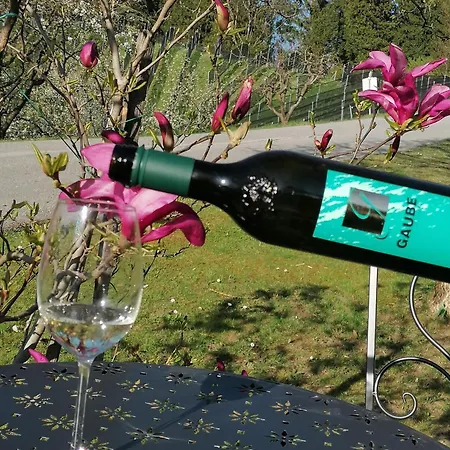 Weingut Gaube