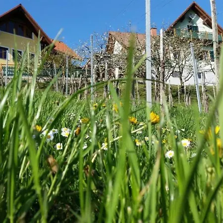 Farma Weingut Gaube *