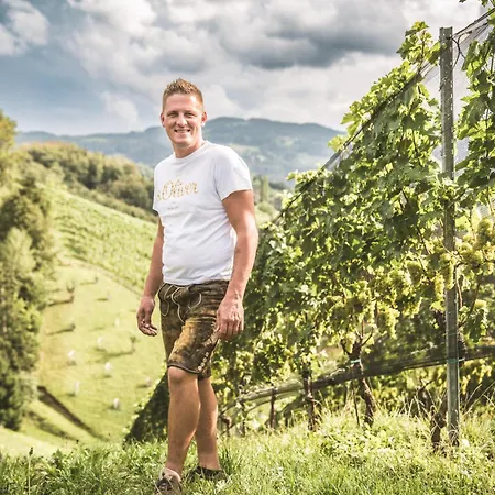 Weingut Gaube * Leutschach