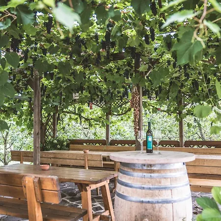 Weingut Gaube Farma Leutschach