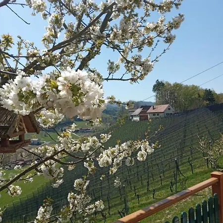 Weingut Gaube